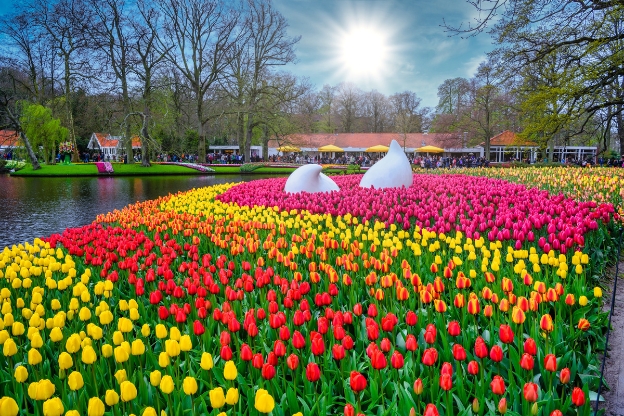 Keukenhof Park