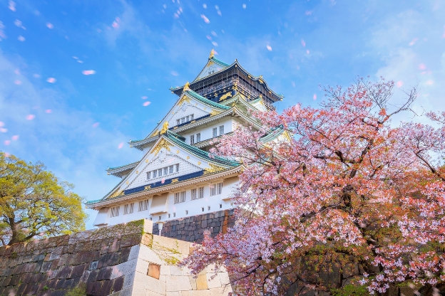 Foto Castello Di Osaka